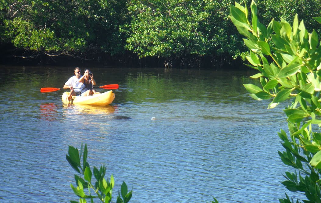 Kayak Tours Fort Myers Beach