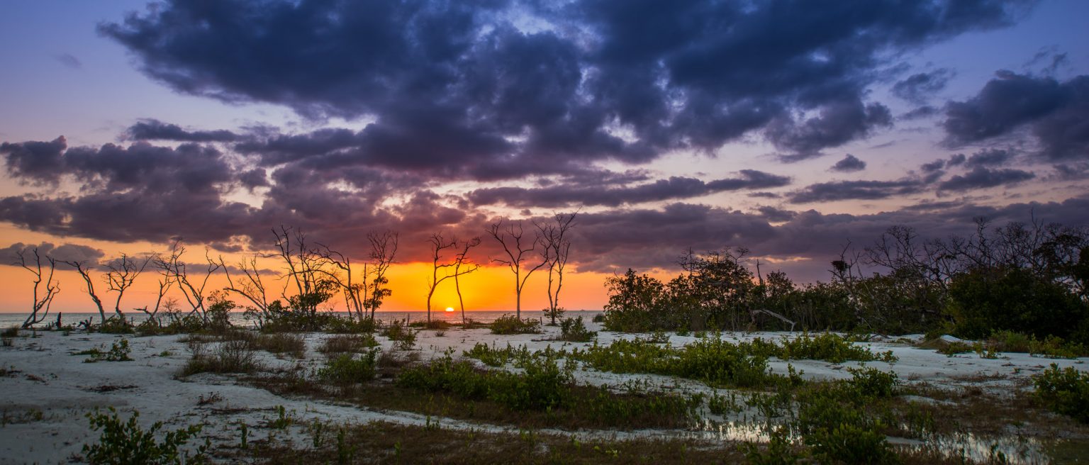 Things to Do at Lovers Key State Park | Lovers Key Adventures