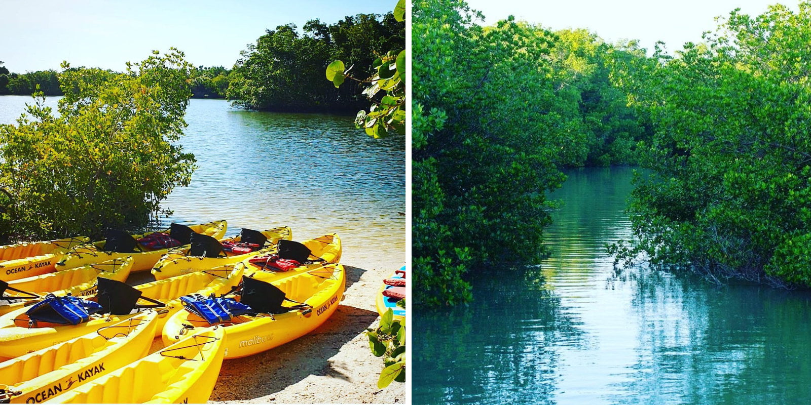 What Is Kayaking? Best Season And Location In Southwest Florida