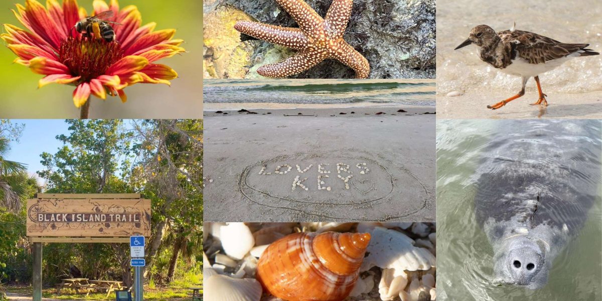What To Know About Lovers Key Before Visiting