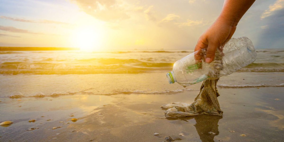 Why Beach Cleanups Matter